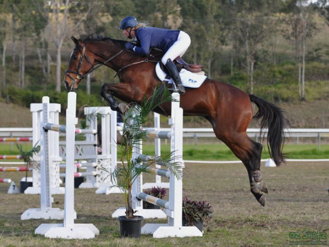 Horse Training Properties For Sale Qld Horse Training Properties For Sale Qld